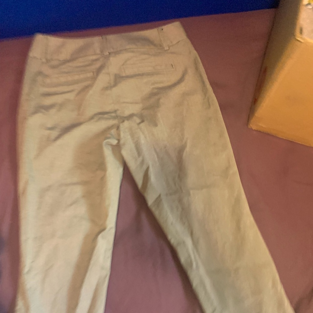 Gray office apparel pants. No stains or tears.